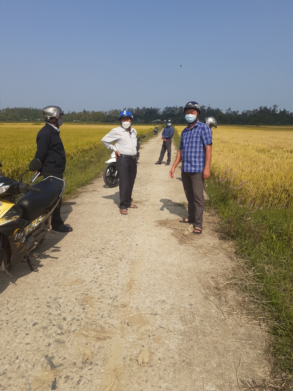 Chiều ngày 08/4/2022, Ban chỉ đạo sản xuất nông nghiệp xã Tịnh Hòa tổ chức thăm đồng đánh giá năng suất, sản lượng lúa vụ Đông Xuân 2021-2022.